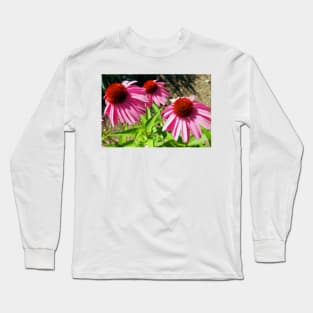 Pink and Purple Echinacea Cone Flower Macro Long Sleeve T-Shirt